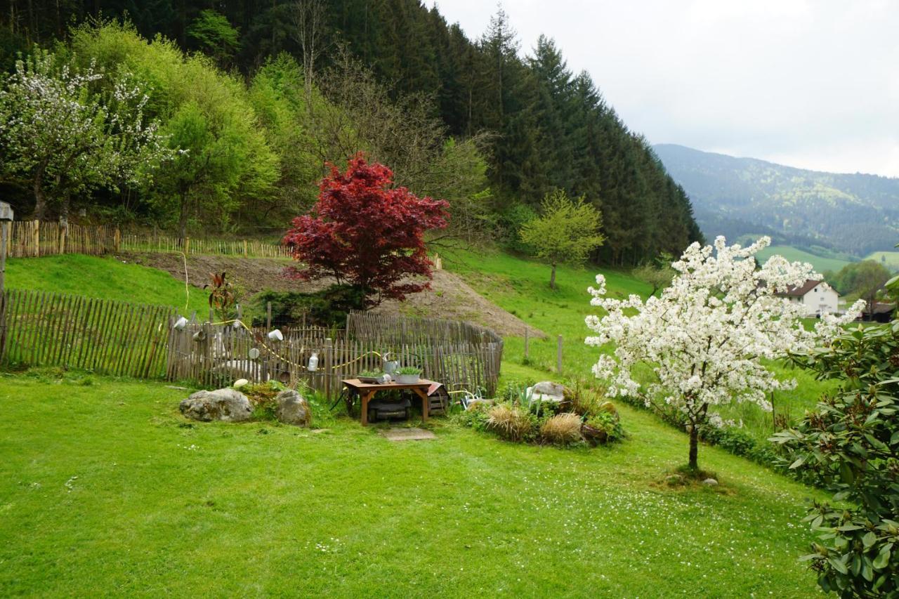 Hoernleberg - Stubenhof, Black Forest シモンスヴァルト エクステリア 写真