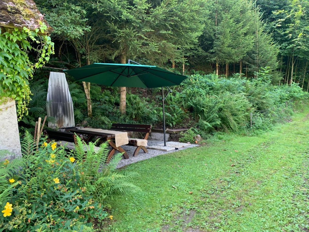 Hoernleberg - Stubenhof, Black Forest シモンスヴァルト エクステリア 写真